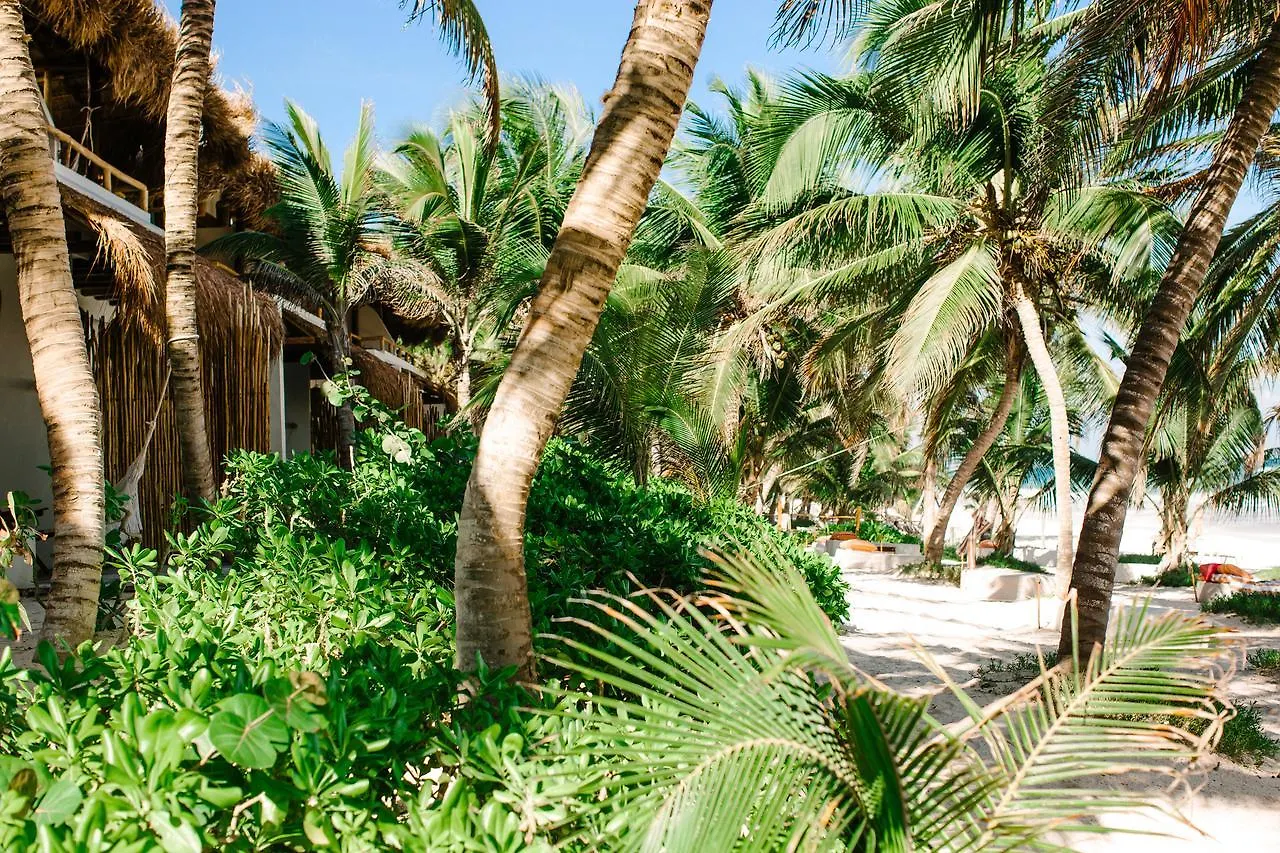 The Beach Tulum Hotel